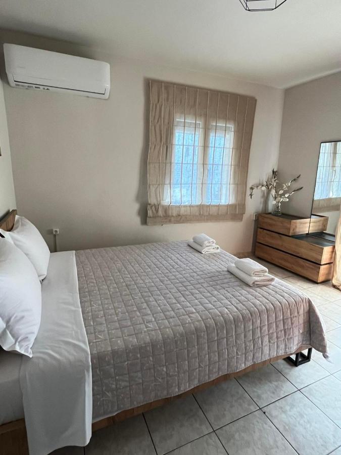 Appartement Comfy Near The Port And The Center Of *