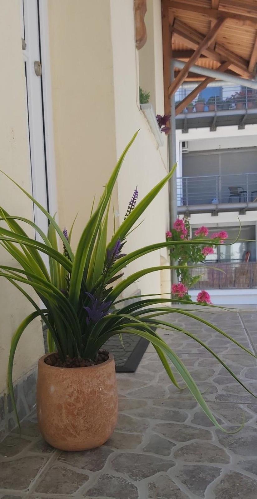 Comfy Near The Port And The Center Of Appartement Vólos
